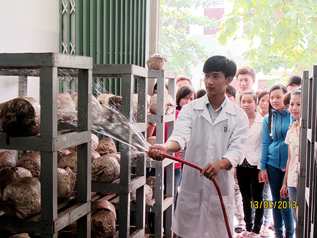 Nguyễn Văn Linh: Chàng kỹ sư trẻ đam mê với cây nấm